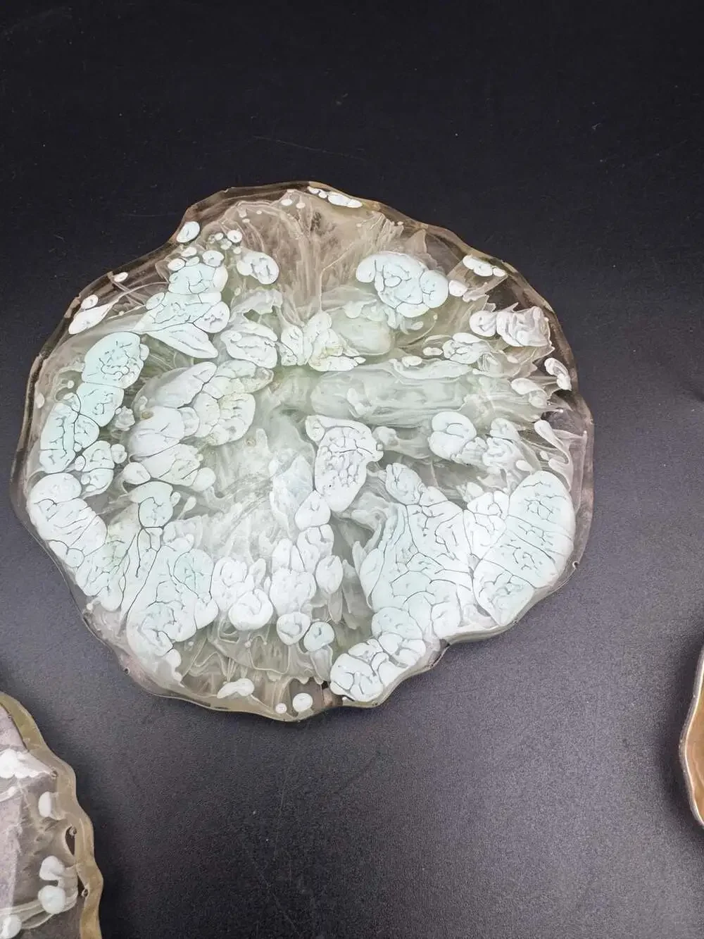 Set of 3 Handmade Resin Coasters with Green and White Alcohol Ink Petri Dish Des